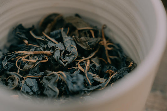 【京藍染師：松﨑陸インタビュー】藍に魅せられて