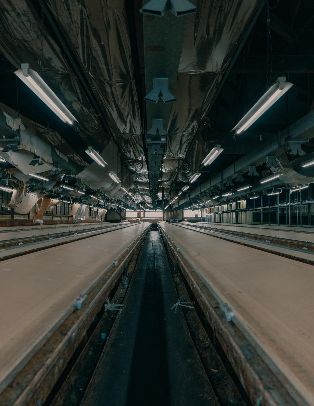 【京友禅：藤田染苑インタビュー前編】制約の中から喜びを生み出す